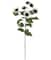 White Sunflower Stem by Ashland®